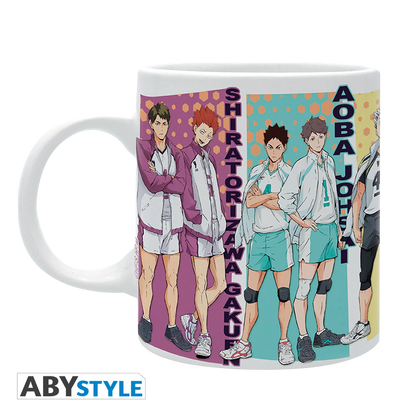 HAIKYU! Mug 320ML Rival Teams