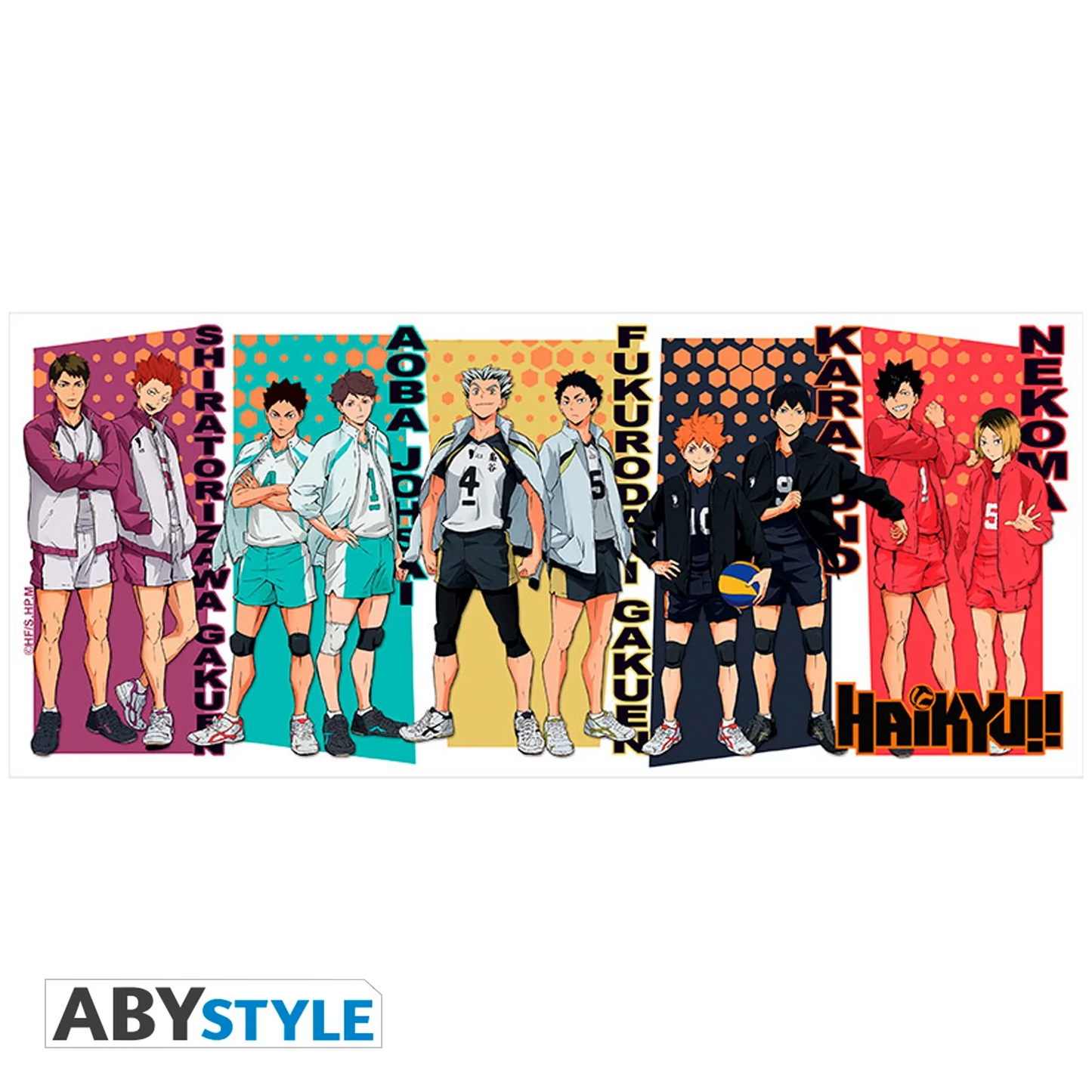 HAIKYU! Mug 320ML Rival Teams