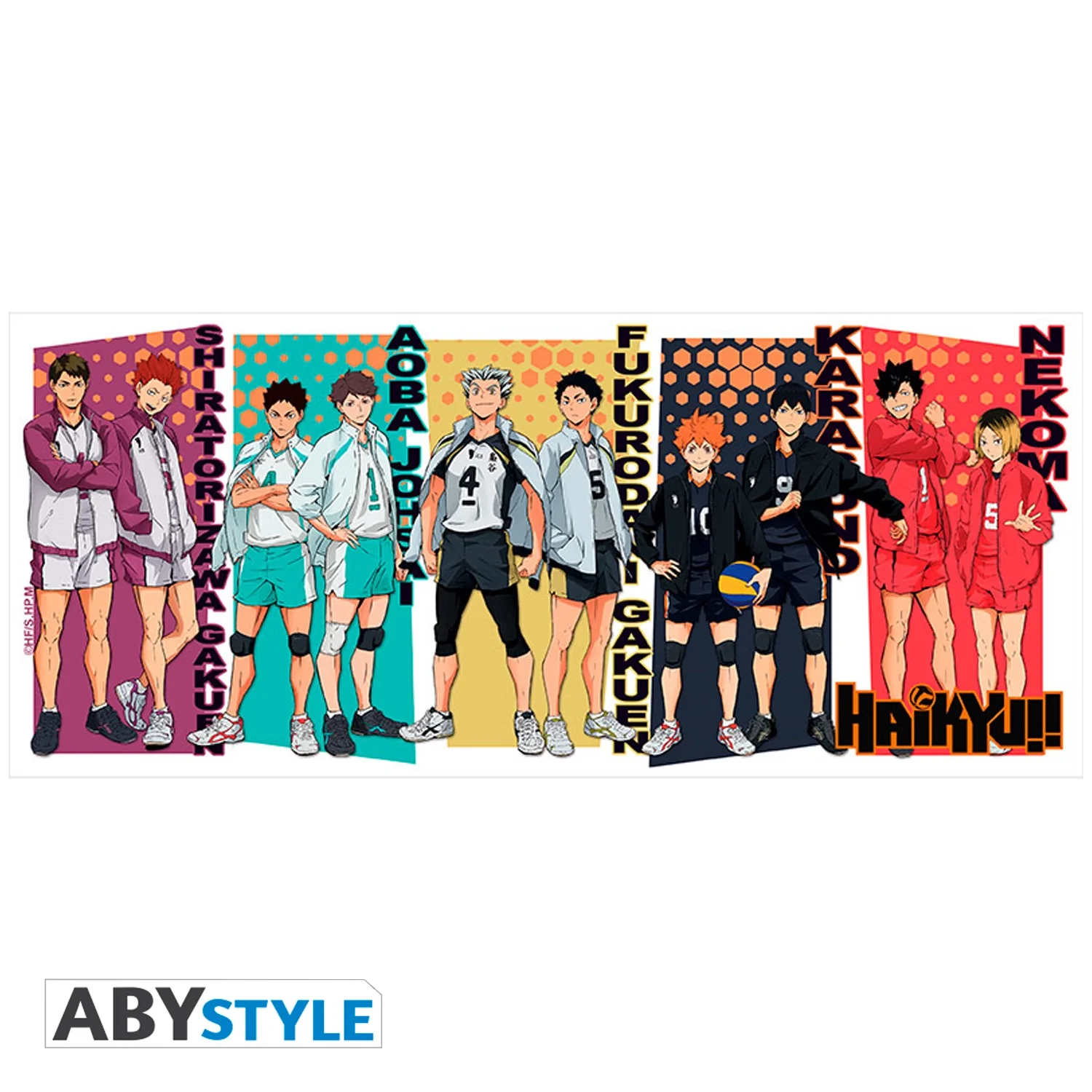 HAIKYU! Mug 320ML Rival Teams